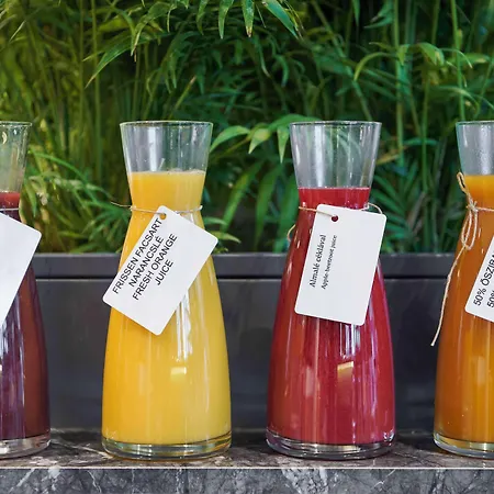 Radisson Budapart 4*